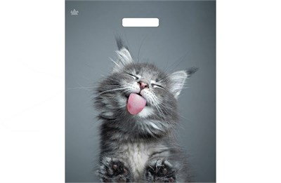 Тико 45х38 Кот /10уп х 50шт/ (500шт) выруб  ламин. 17642