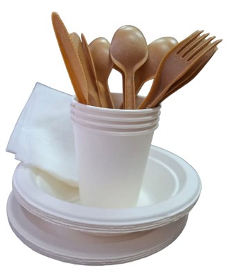 Набор одноразовой посуды для пикника БИО на 4 персоны  (1/30)  арт.012  АРЧ НФ-00019483