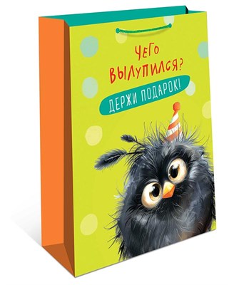 Бум пакеты 18х23х10 Чего вылупился 0192.691 НФ-00024623