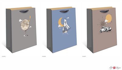 Бум пакеты 26х32х12  Ассорти  1310.906 НФ-00025711