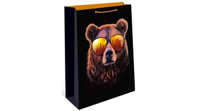 Бум пакеты 26х32х12 Медведь  0193.711 НФ-00026047