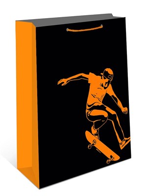 Бум пакеты 26х32х12 Скейтборд  0193.714 НФ-00026048