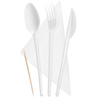 Набор №5 вилка, ложка, салф., зубочистка 1/300 НФ-00003194