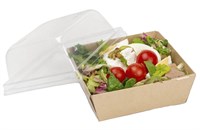 ОСК контейнер универ Smart Pack 300 ДНО 86(100)х86(100)х40 (300шт) 17665