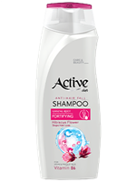 Шампунь от выпадения волос Active (Актив) Anti hairfall, 350 мл ИРАН 1/12 НФ-00021514