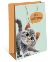 Бум пакеты 18х23х10 Давай пошурши    0192.419 НФ-00022780