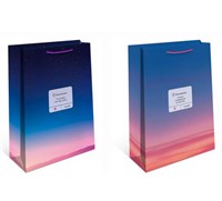 Бум пакеты 26х32х12 Напоминание   0193.570 НФ-00025997