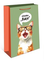 Бум пакеты 26х32х12 Скажи: 